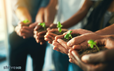 Sustaining Culture Wins After the Celebration